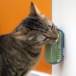 gato utilizando escova massageadora de parede