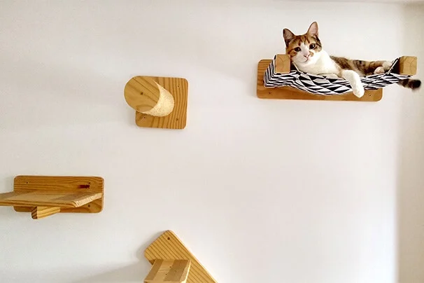 Parquinhos para gatos: o paraíso vertical para o seu felino 2 gata tricolar deitada na cama estilo rede de um dos parquinhos para gatos