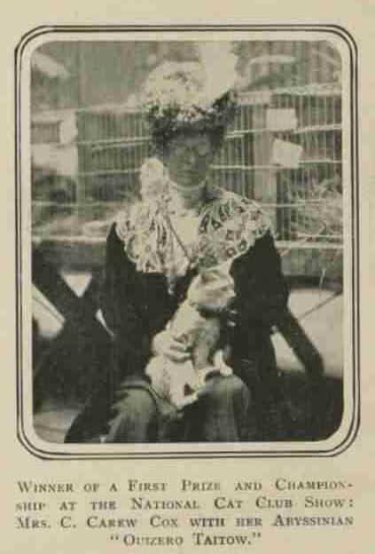 Constance Carew Cox, pioneira na criação da raça de gato azul russo.