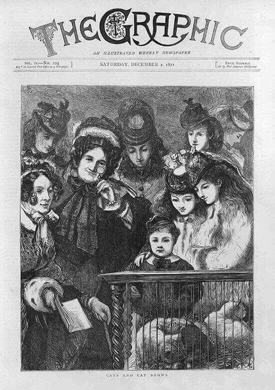 Capa do jornal The Graphic sobre uma feira de gatos, onde foi exposta a raça de gato azul russo.