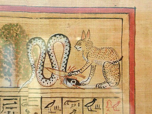 Desenho em um papiro egípcio que mostra um gato malhado matando uma cobra com uma faca! As manchas nas pelagens dos gatos retratados no antigo Egito remetem ao gato Mau Egípcio.