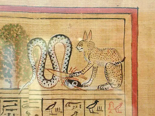 Gato Mau Egípcio foi o primeiro felino a se aproximar dos humanos? 3 Desenho em um papiro egípcio que mostra um gato malhado matando uma cobra com uma faca! As manchas nas pelagens dos gatos retratados no antigo Egito remetem ao gato Mau Egípcio.
