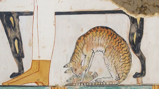 Gato Mau Egípcio foi o primeiro felino a se aproximar dos humanos? 8 Pintura na parede de uma tumba em Tebas mostra um gato comendo um peixe sob uma mesa. Registro indica que gatos e pessoas já conviviam dentro de casa.