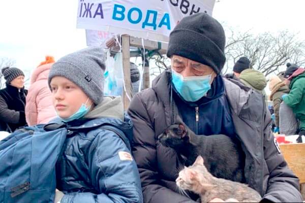 gatos guerra ucrania refugiados