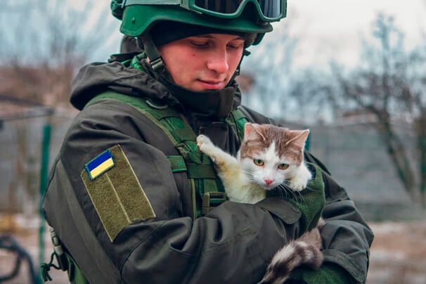 guerra-na-ucrania-soldado-resgata-gato
