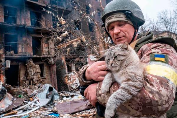 soldado guerra ucrania gato