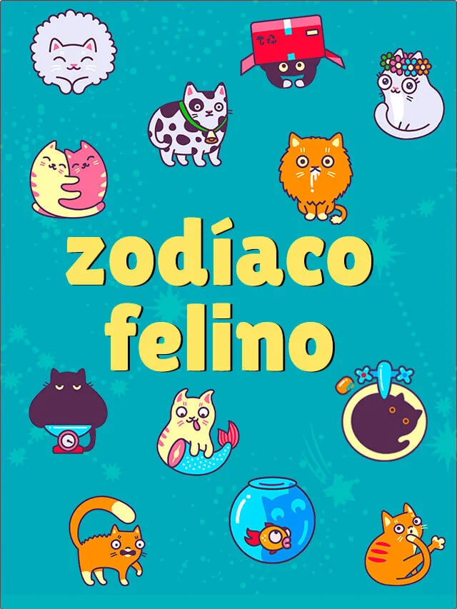 Signos dos gatos dizem muito sobre eles. Descubra!