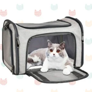 Qual a melhor caixa de transporte para gatos? Analisamos 13 opções 27 Bolsa de transporte para gatos cinza