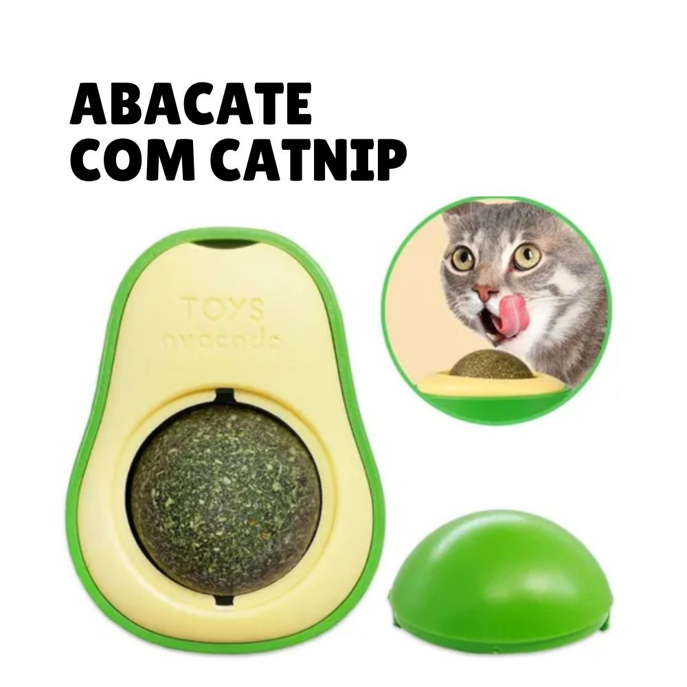 abacate com catnip para gatos