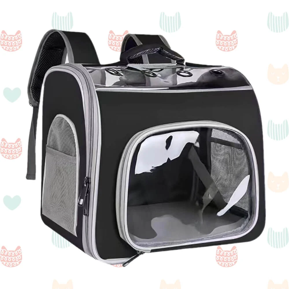 Qual a melhor caixa de transporte para gatos? Analisamos 13 opções 18 bolsa e mochila para gatos