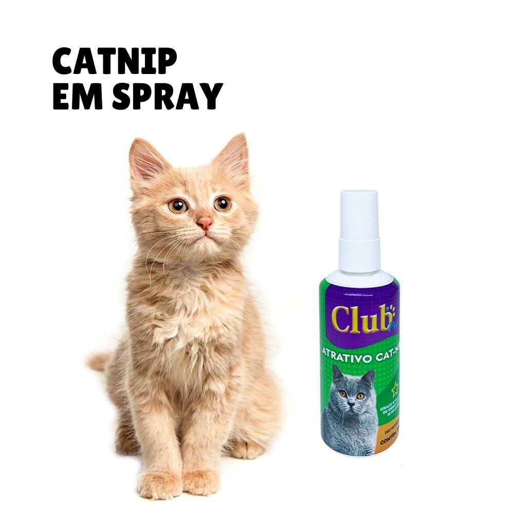 catnip liquido spray