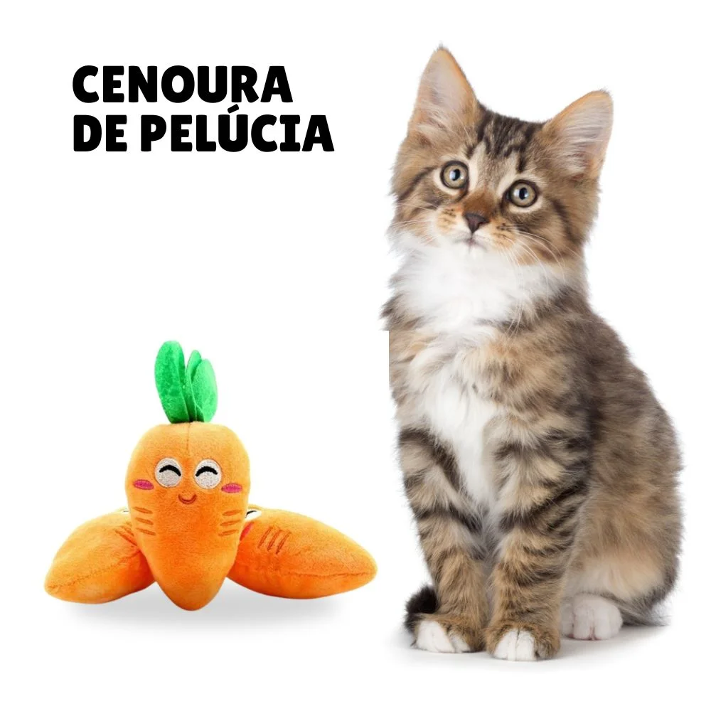 Gatos podem comer chocolate? Tudo o que você precisa saber! 4 cenoura brinquedo de pelucia para gatos