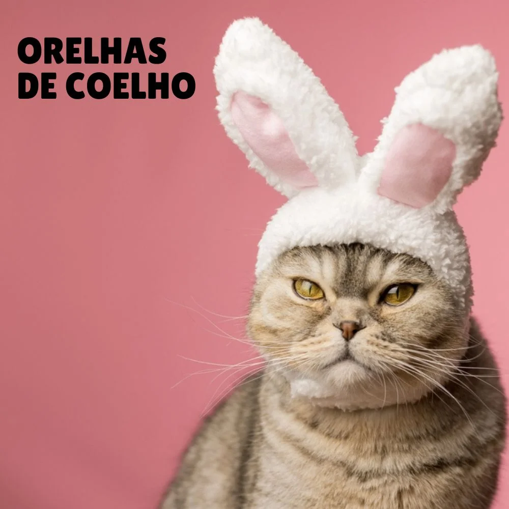 Gatos podem comer chocolate? Tudo o que você precisa saber! 6 fantasia orelhas de coelho para gatos