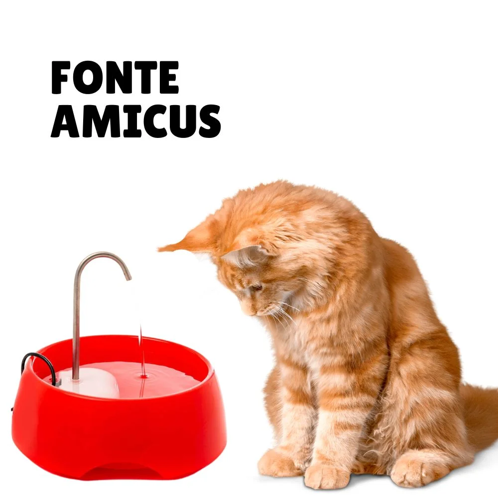 Enxoval para gatos: tudo o que você precisa para receber seu novo amigo felino 12 fonte para gatos aqua mini amicus vermelha
