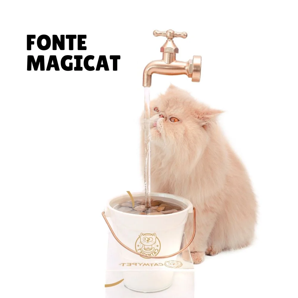 Fontes para gatos beberem água: veja os melhores bebedouros 4 fonte para gatos magicat