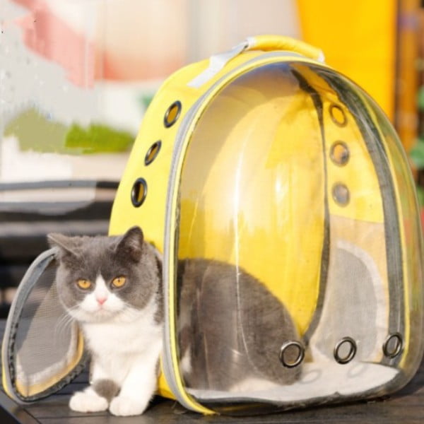mochila transparente para gatos