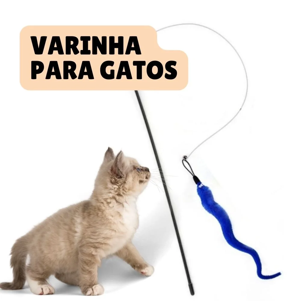 Por que os gatos domésticos dormem tanto, já que não se cansam