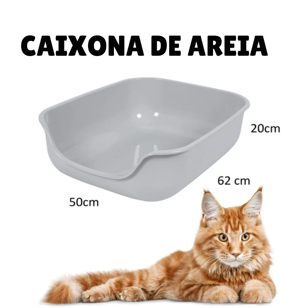 Enxoval para gatos: tudo o que você precisa para receber seu novo amigo felino 14 CAIXA DE AREIA EXTRA GRANDE