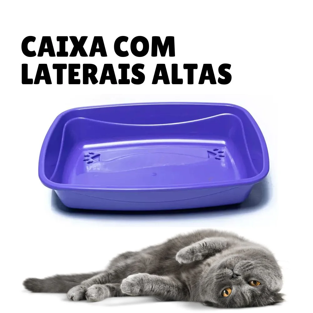 Enxoval para gatos: tudo o que você precisa para receber seu novo amigo felino 15 CAIXA DE AREIA com laterais altas