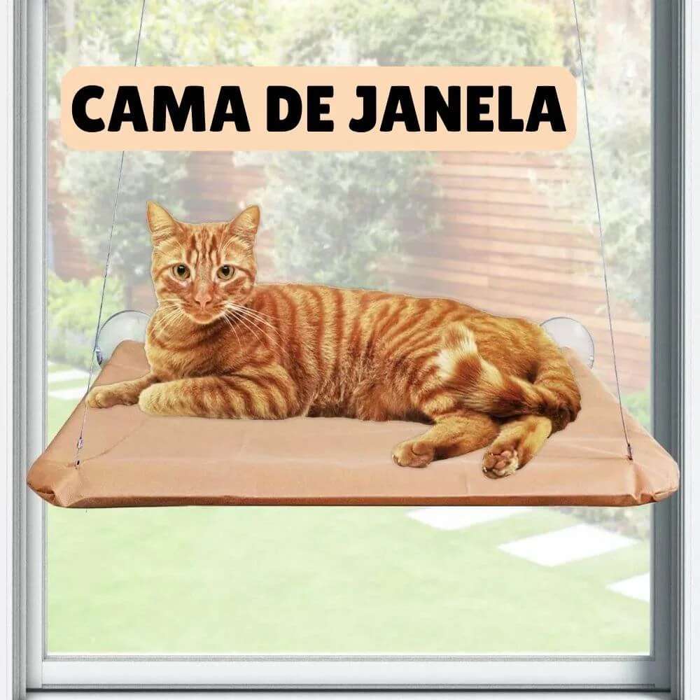 Enxoval para gatos: tudo o que você precisa para receber seu novo amigo felino 23 CAMA DE JANELA PARA GATOS