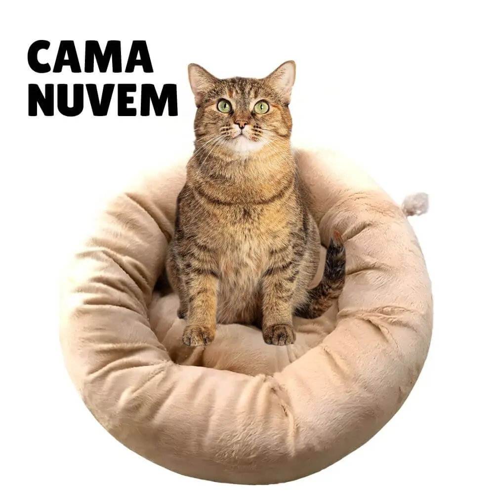 Enxoval para gatos: tudo o que você precisa para receber seu novo amigo felino 22 cama nuvem para gatos