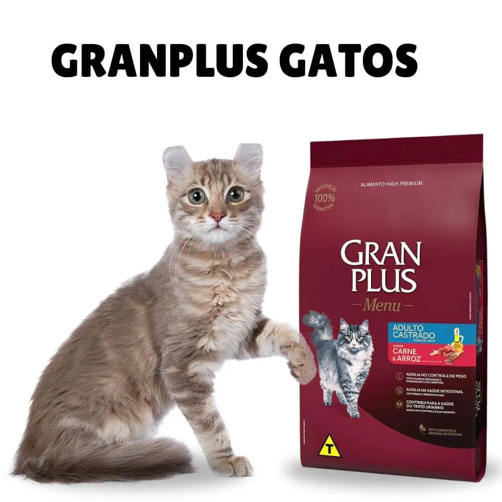 Enxoval para gatos: tudo o que você precisa para receber seu novo amigo felino 3 Racao GranPlus para Gatos