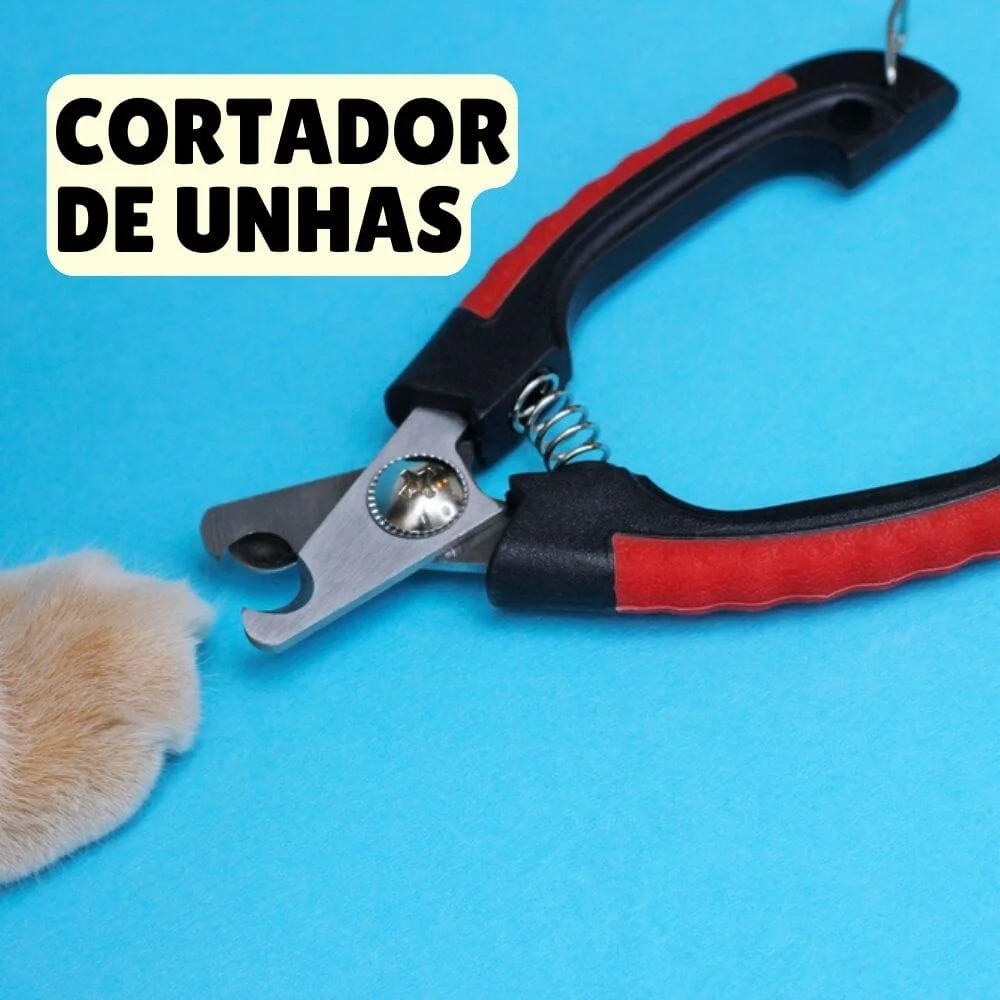 Enxoval para gatos: tudo o que você precisa para receber seu novo amigo felino 30 cortador de unhas para gatos