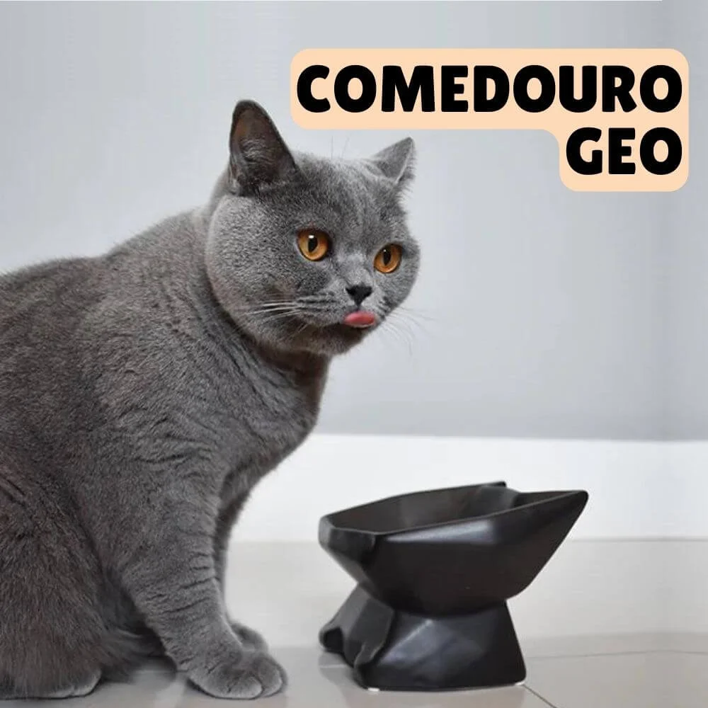 Enxoval para gatos: tudo o que você precisa para receber seu novo amigo felino 8 produtos pro blog