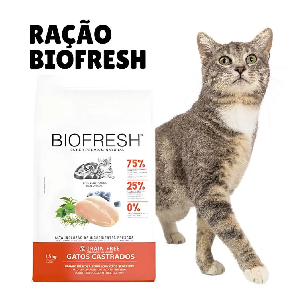 Enxoval para gatos: tudo o que você precisa para receber seu novo amigo felino 7 racao super premium biofresh para gatos